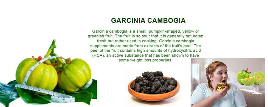 Garcinia-Cambogia-Extracts