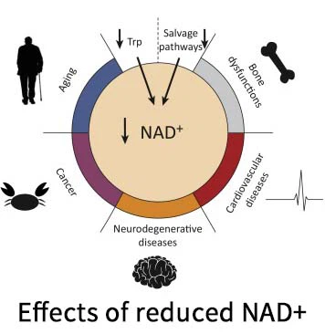 NAD NAD