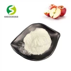 Naravni jabolčni kis v prahu