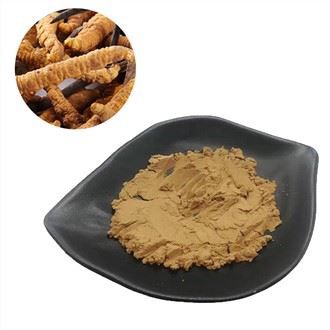 Cordyceps Polysaccharide