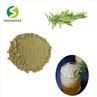 Rosemary Extract