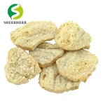 Teksturirane rastlinske beljakovine