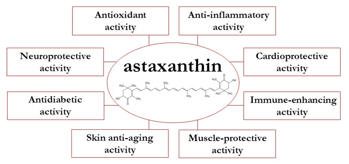 molecules-27-00502-g001 molecules-27-00502-g001